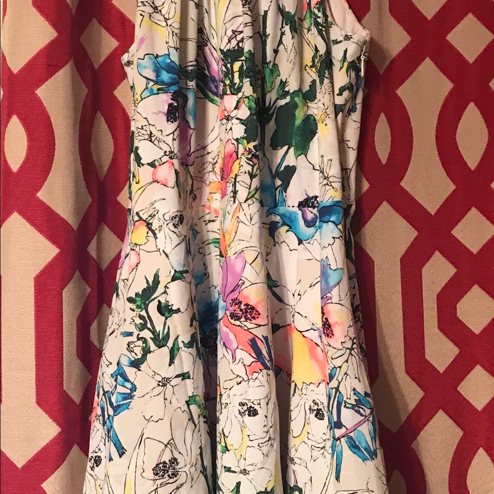 Express white floral dress! Super cute back!